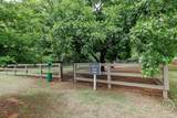 1140 Silo Bend - Photo 53