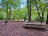 1031 Laurel Springs Court - Photo 118