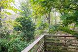 430 Forest Road - Photo 36