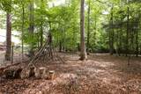228 Falling Shoals Drive - Photo 51
