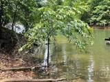 Lot 1682 Point Road - Photo 6