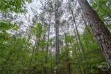 0 Lower Wirebridge Road - Photo 44
