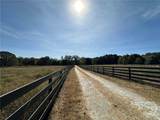 5592 Old Pendergrass Road - Photo 45