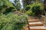 165 Tipperary Road - Photo 66