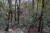 0 Wilderness End - Photo 48