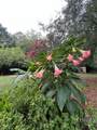 3010 Flat Rock Road - Photo 73