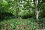 1160 Bent Creek Road - Photo 55