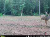 470 Lakota Trail - Photo 70