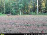 470 Lakota Trail - Photo 73