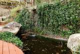550 Fortson Road - Photo 40