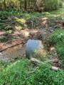 2470 Fears Road - Photo 38