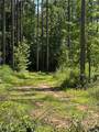 2470 Fears Road - Photo 58