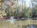 1051 Copperville Drive - Photo 36