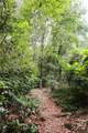 240 Beech Creek Road - Photo 59