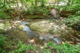 1051 Crooked Creek Road - Photo 6