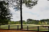 1040 Pimlico Lane - Photo 131