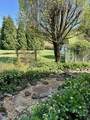 991 Adair Mill Road - Photo 12