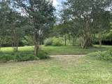 3010 Flat Rock Road - Photo 13