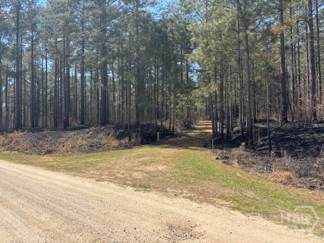 000 Faust Farm Rd - Photo 1
