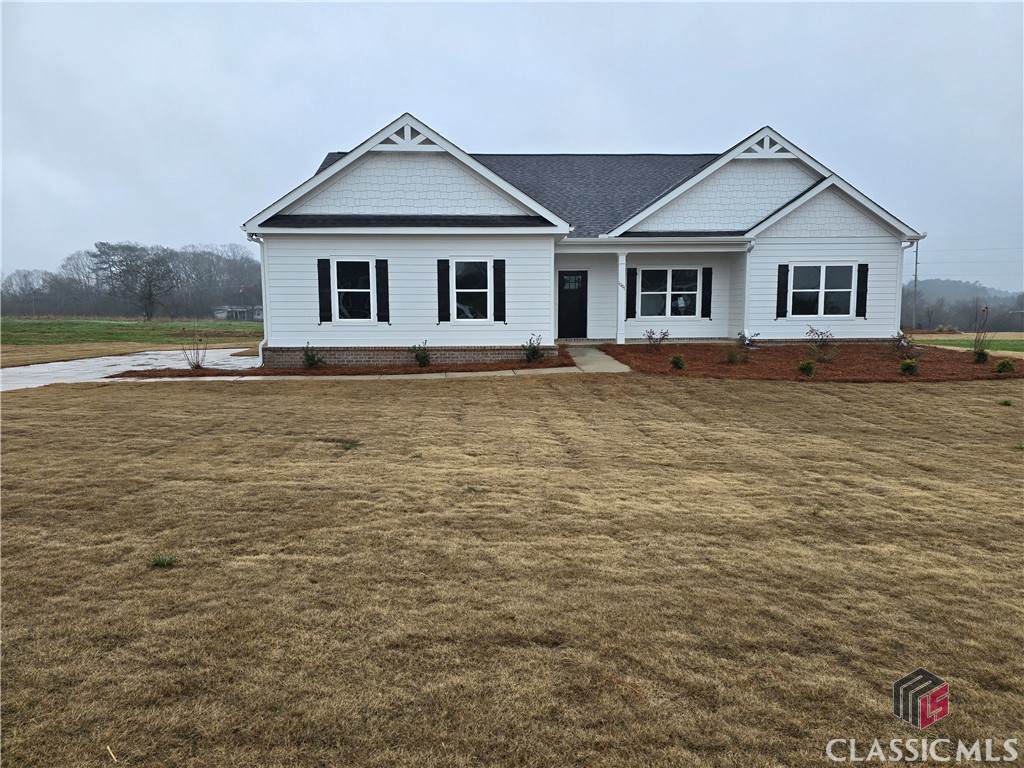 1001 Alaina Avenue - Photo 1