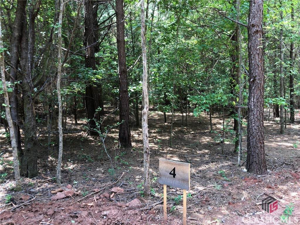 0 Bell Road - Photo 1