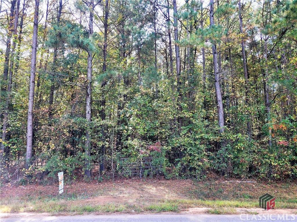 0 Smithonia Road - Photo 1