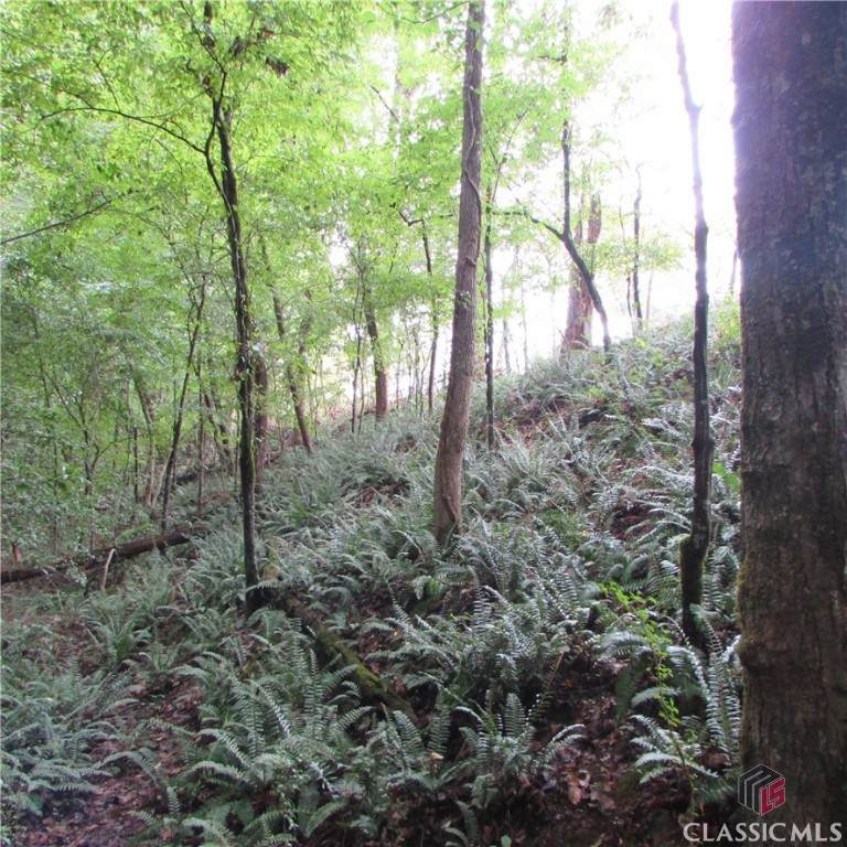 Lot 3 Coldwater Road - Photo 1