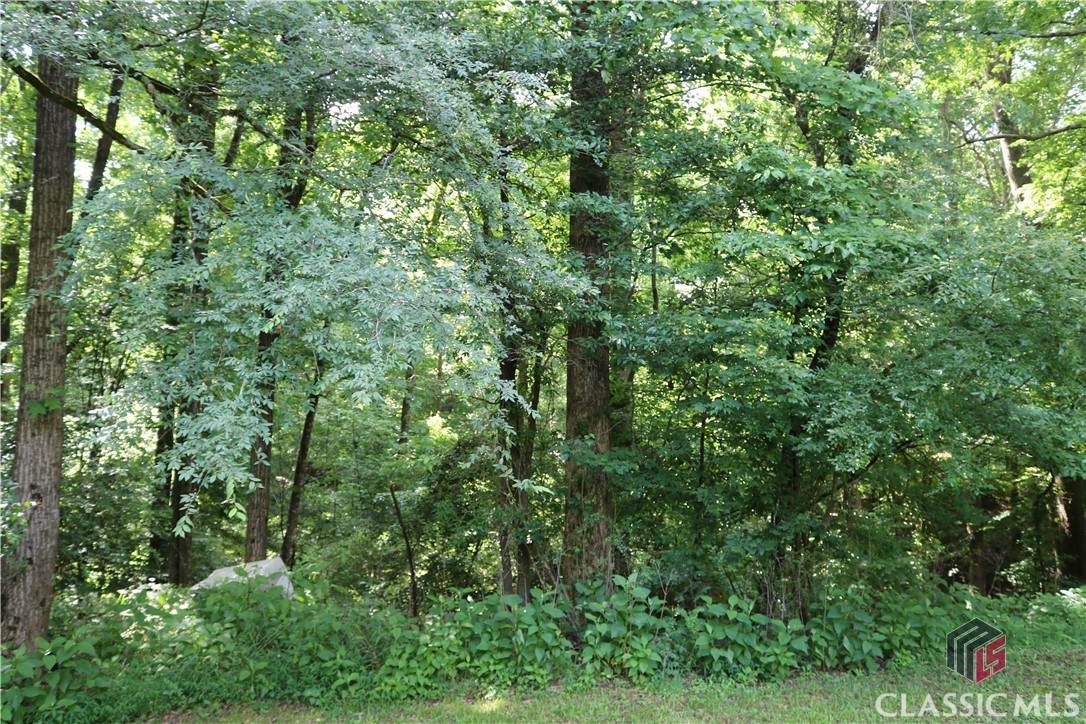 0 Wire Bridge Road - Photo 1