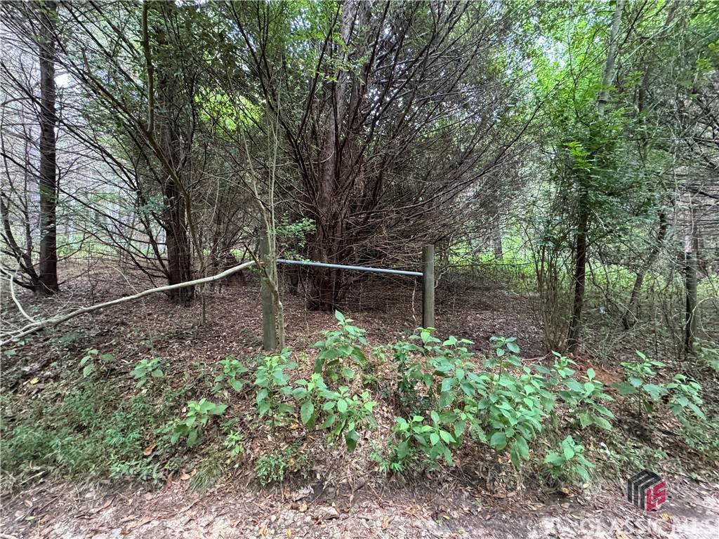 000 Cummings Road - Photo 1