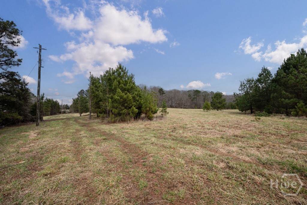 Tract 2 High Shoals Road - Photo 1