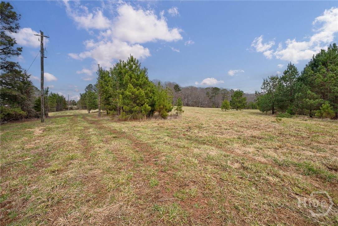 Tract 3 High Shoals Road - Photo 1