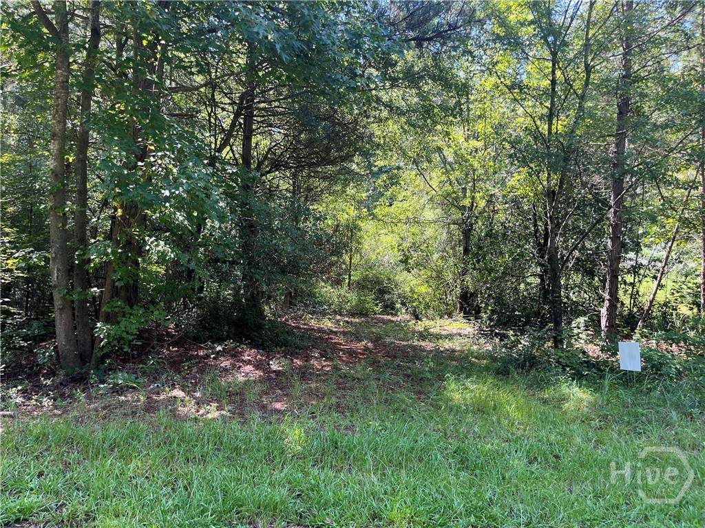 196 Tony Drive - Photo 1