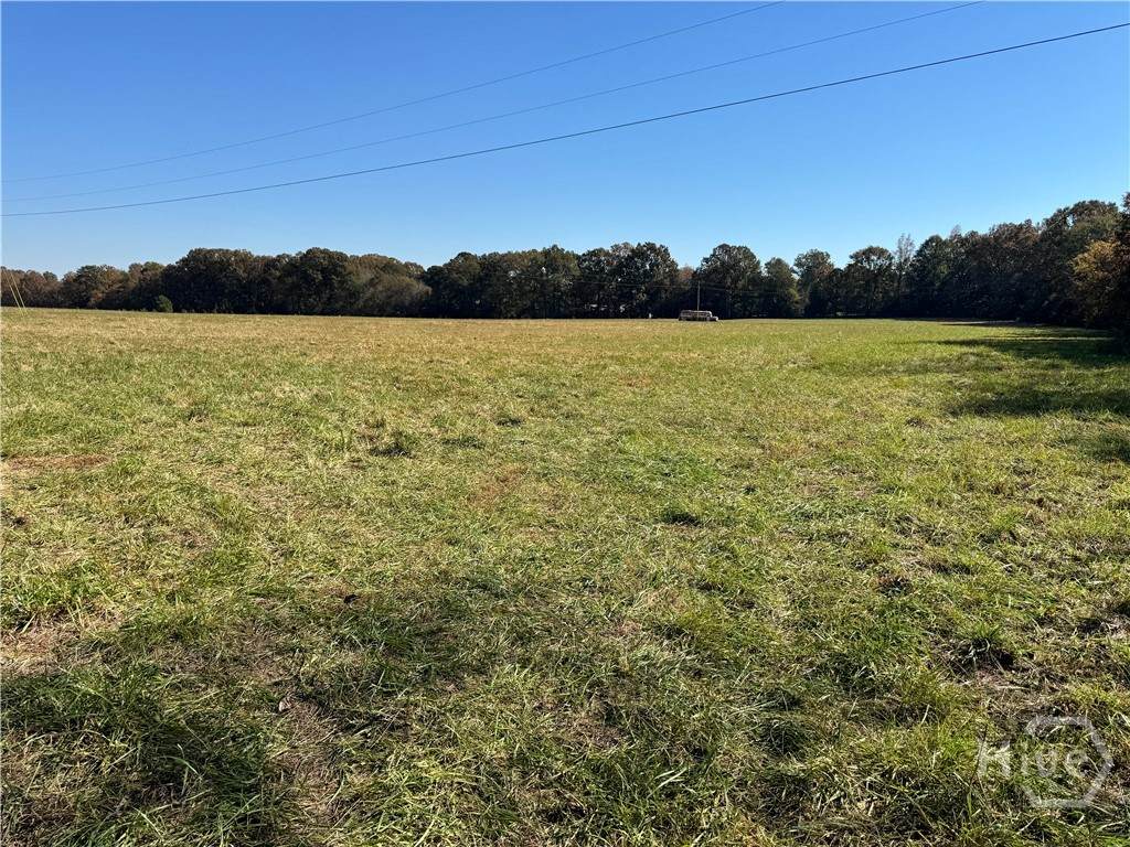 Tract 1 Taylor Road - Photo 1