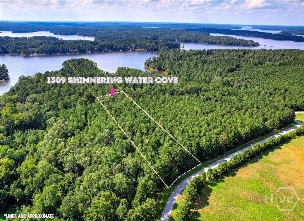 1309 Shimmering Water Cove - Photo 1