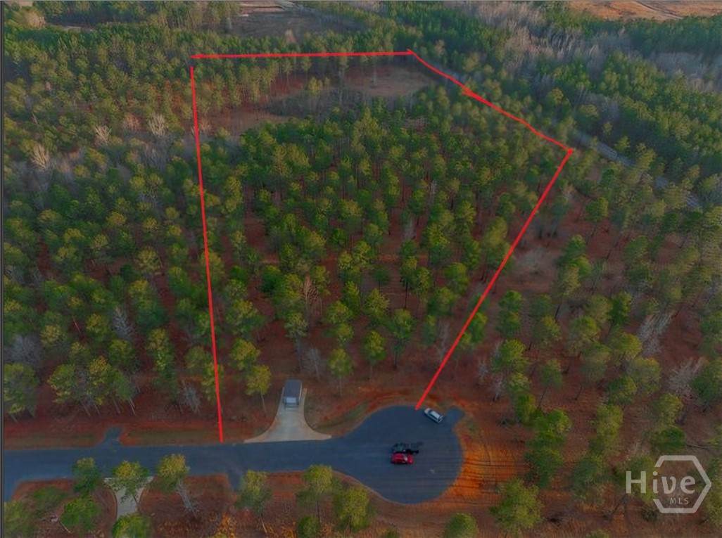 163 Overlook Drive - Photo 1