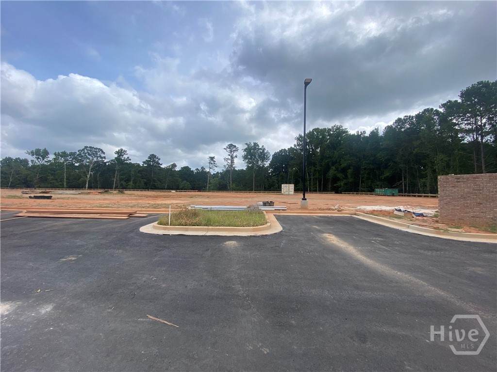 6403 Hickory Flat Highway - Photo 1
