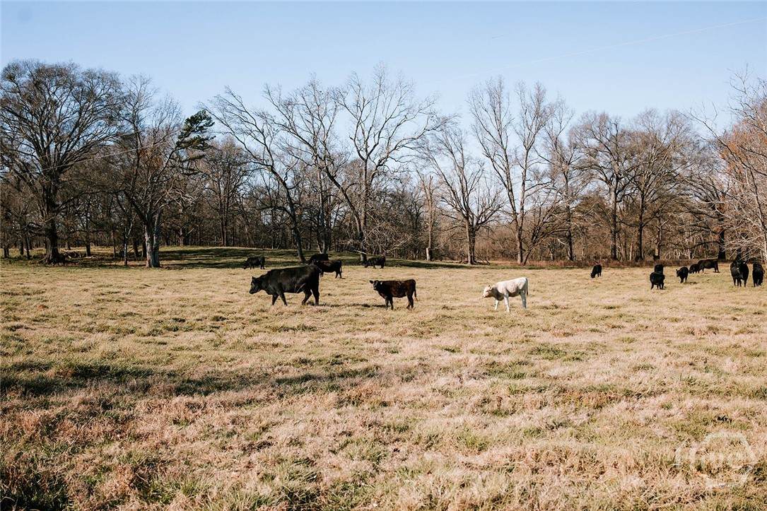 0 Ralph Bridges Road - Photo 1