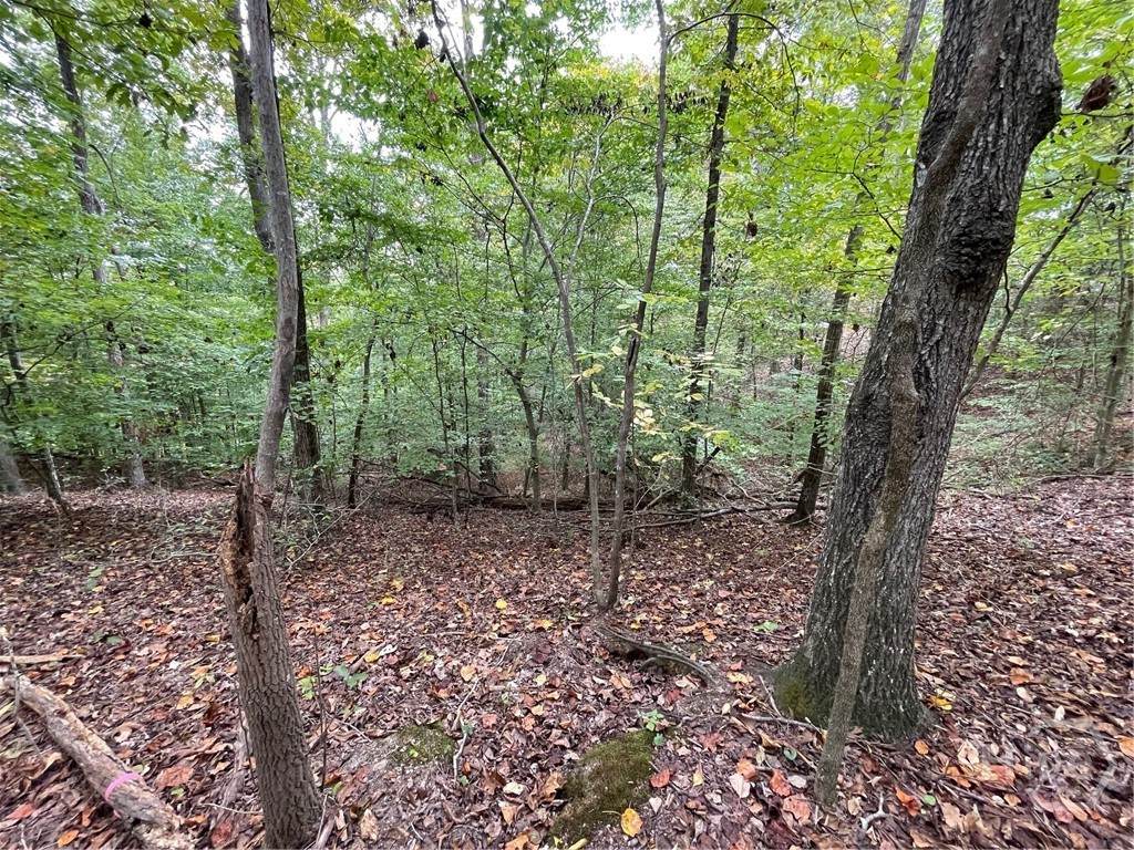 Lot 296 Oconee Avenue - Photo 1
