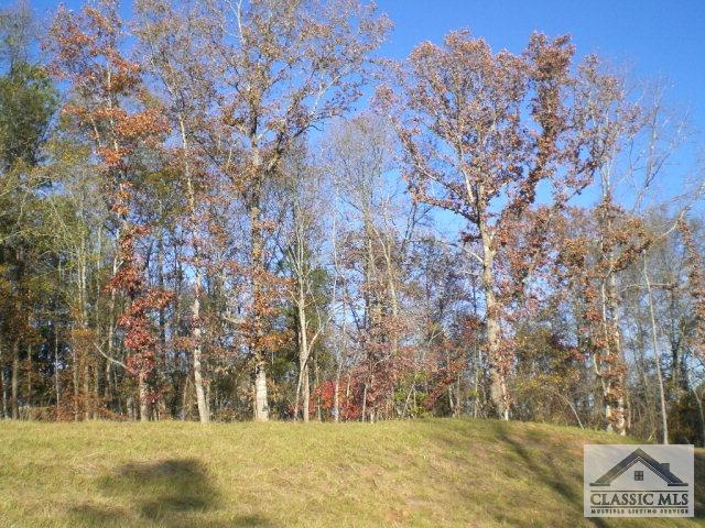 1906 Ryland Hills Drive - Photo 1