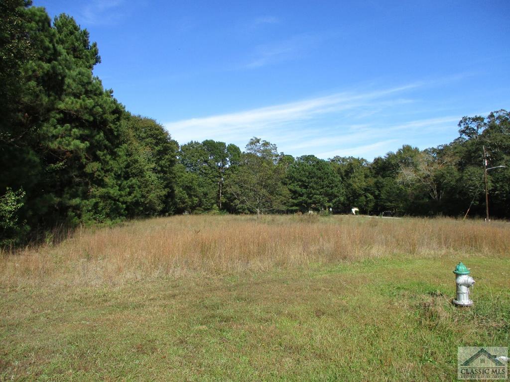 111 Ambler Road - Photo 1