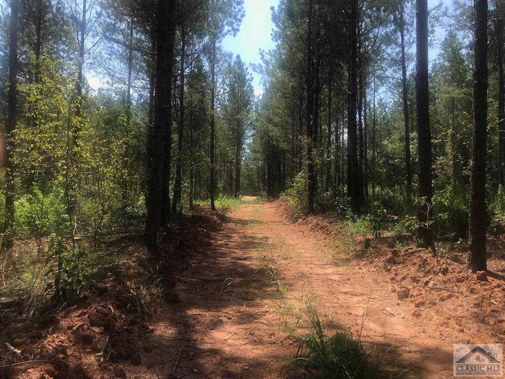 0 Parham Town Road - Photo 1