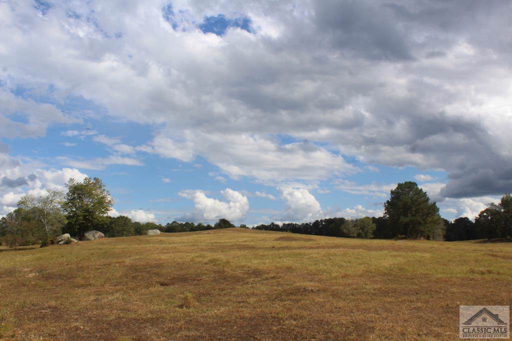 0 Billy Merritt Road - Photo 1