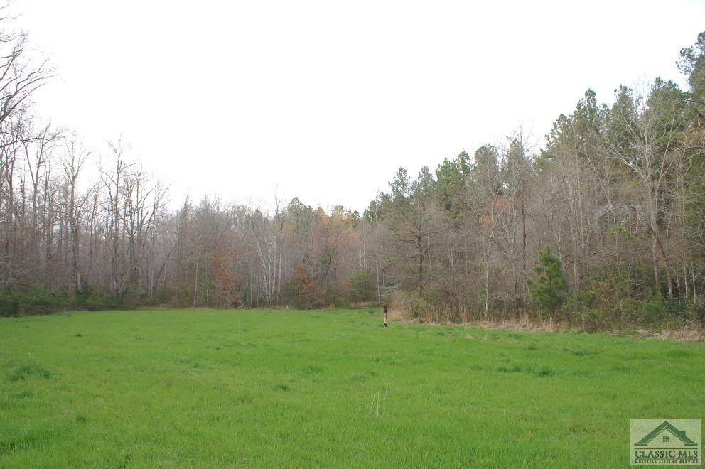 33.48 ac Jones Chapel Road E - Photo 1