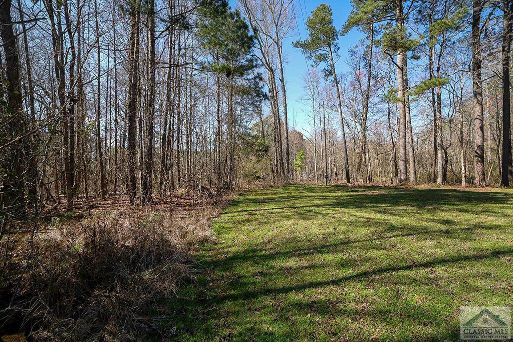 156 Old Pittard Road - Photo 1