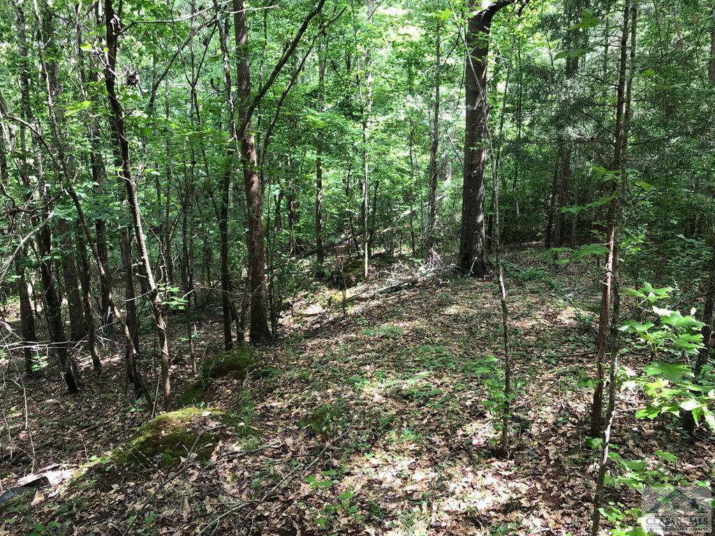 300 Noketchee Creek Road - Photo 1