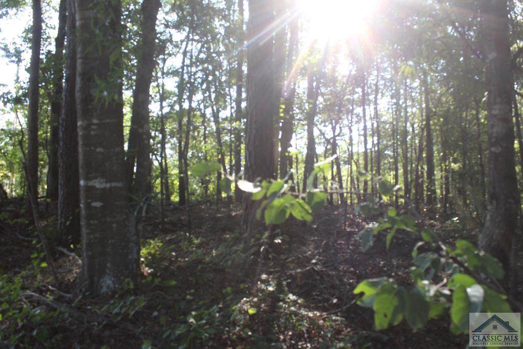0 Hog Mountain Road - Photo 1