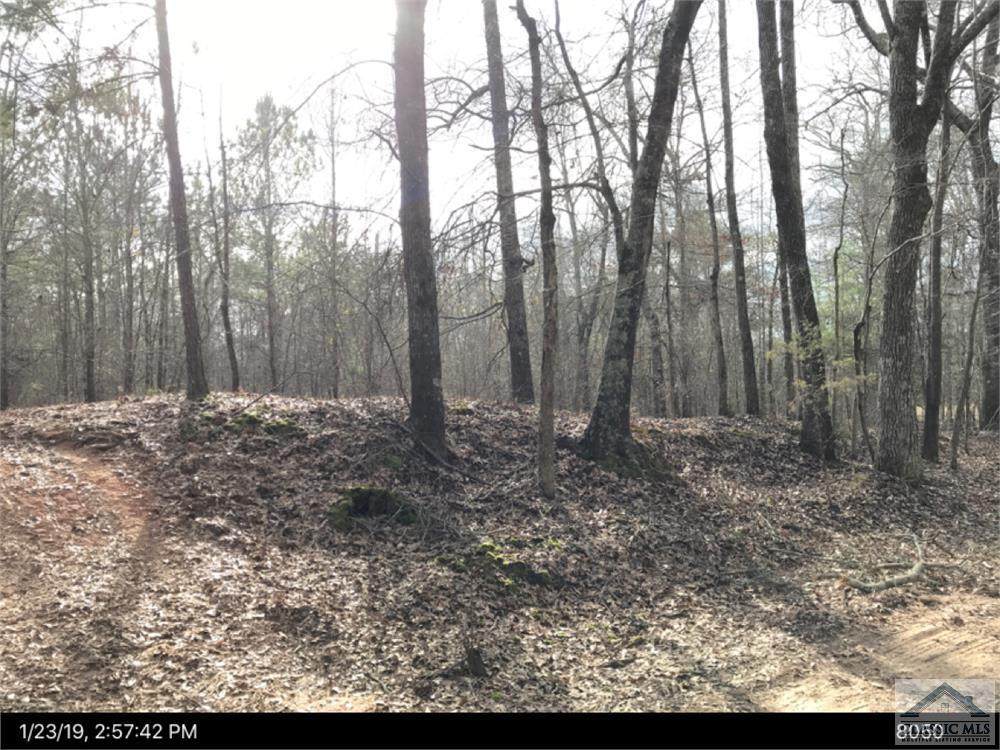 Lot #4 Glade Road - Photo 1