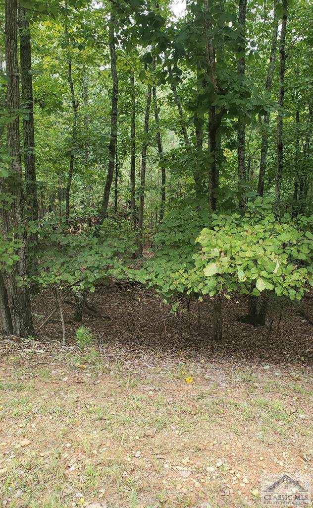 560 Mark Trail - Photo 1