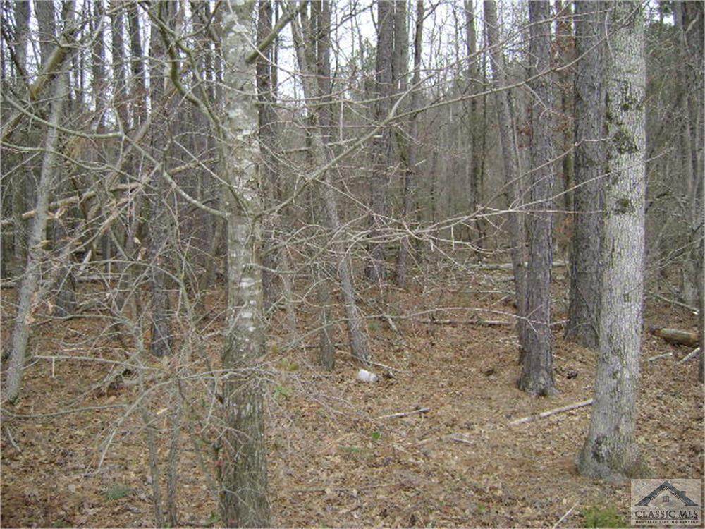 3046 Hwy 441 - Photo 1