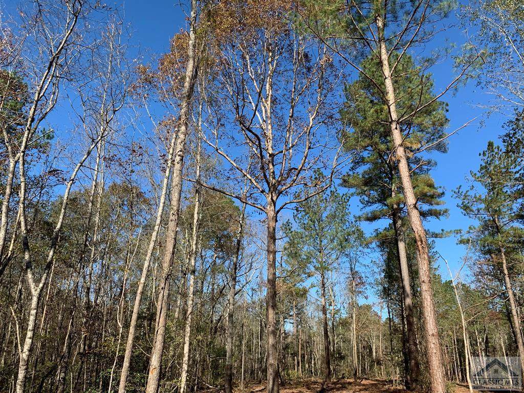 1 Hwy 186 - Photo 1